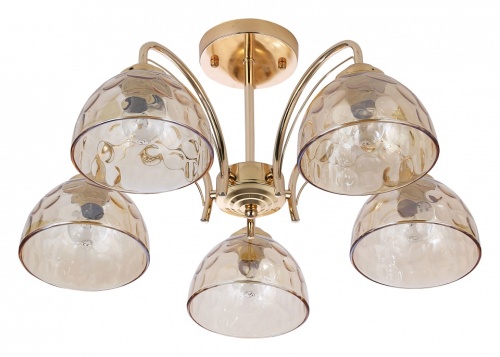 Люстра на штанге Rivoli Terri Б0060989 в Нижнем Новгороде фото 2