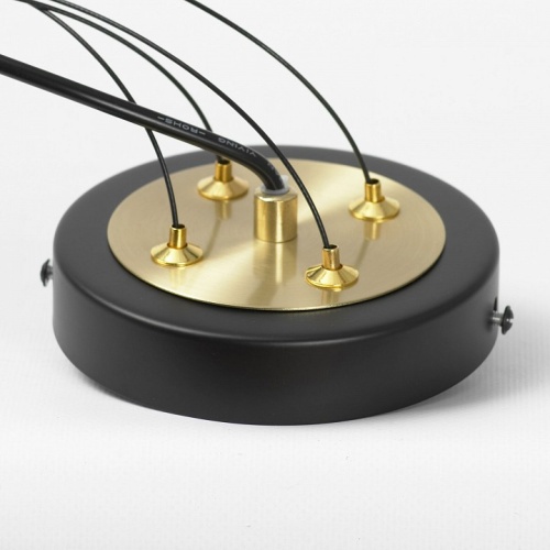 Подвесная люстра Lussole Lyon LSP-8906 в Нижнем Новгороде фото 4