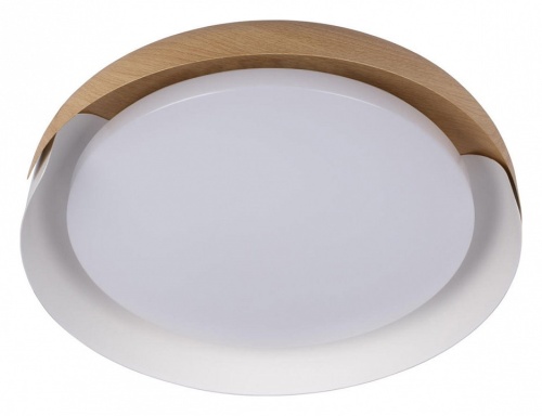 Накладной светильник Loft it Coin 10198 White в Нижнем Новгороде фото 2