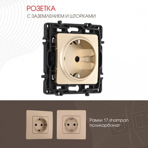 Розетка с заземлением и со шторкой, без рамки Arte Milano am-217 217.40-1.shampan в Нижнем Новгороде фото 4