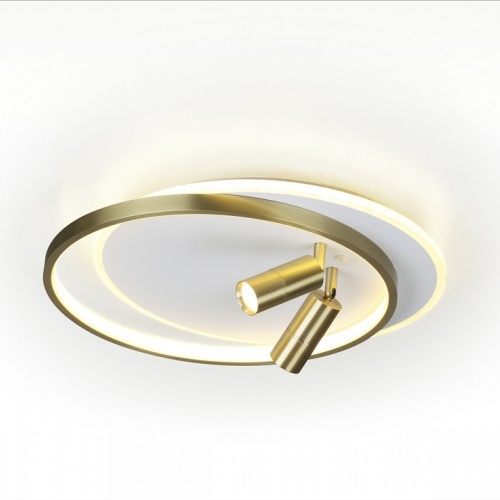 Накладной светильник Lumion Naoko 5603/63CL в Нижнем Новгороде фото 2