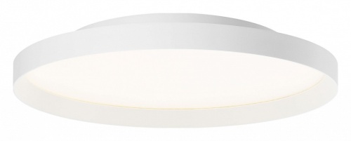 Накладной светильник Arlight ESTELY 055366 в Нижнем Новгороде