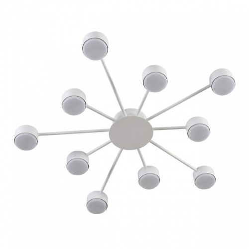 Потолочная люстра Lumion TORINA 8343/10C в Нижнем Новгороде фото 4