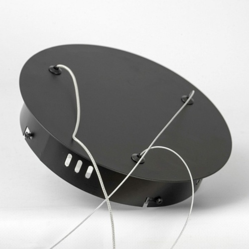 Подвесной светильник Lussole Desoto LSP-7229 в Нижнем Новгороде фото 3