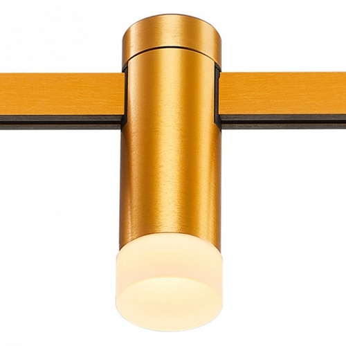 Накладной светильник ST-Luce FARM ST812.206.03 в Нижнем Новгороде фото 4