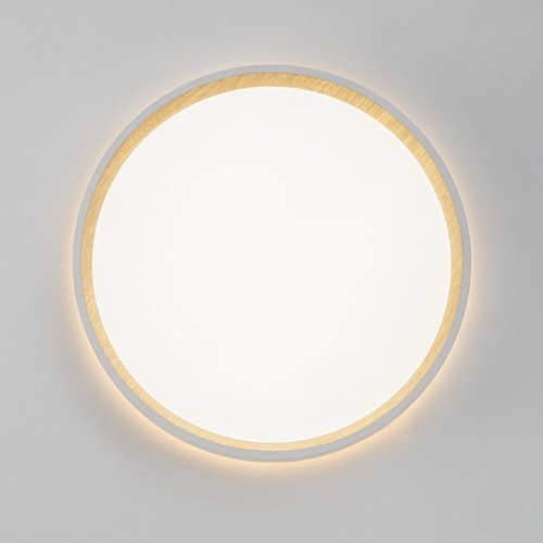 Накладной светильник Citilux Etalon CL750240 в Нижнем Новгороде фото 4