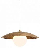 Подвесной светильник Freya Albero FR5589PL-01T1 в Нижнем Новгороде