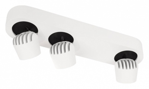 Накладной светильник Loft it Quiet 10320/3 White в Нижнем Новгороде фото 4