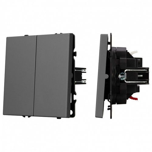 Выключатель двухклавишный без рамки Arlight SWT 054254 в Нижнем Новгороде