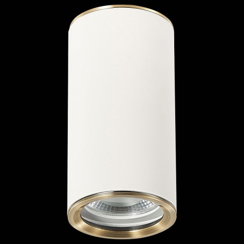 Накладной светильник ST-Luce Chomus ST111.537.01 в Нижнем Новгороде фото 4