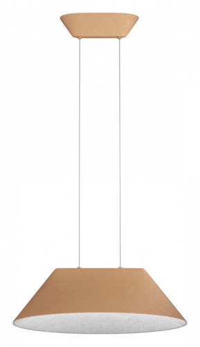 Подвесной светильник ST-Luce Sentito SL3001.713.01 в Нижнем Новгороде фото 2