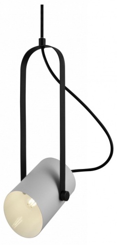 Подвесной светильник Freya Elori FR4004PL-01WB в Симе