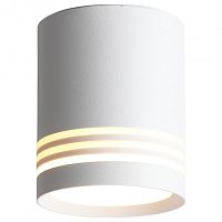 Накладной светильник ST-Luce Cerrione ST101.542.05 в Нижнем Новгороде