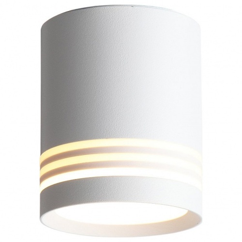 Накладной светильник ST-Luce Cerrione ST101.542.05 в Нижнем Новгороде