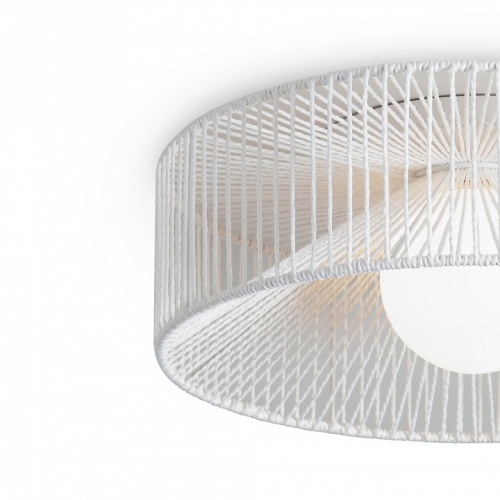 Накладной светильник Freya Cottage FR5405CL-01W в Нижнем Новгороде фото 6