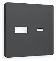 Накладка для розетки type A и C Ambrella Volt ALFA AP9110 в Нижнем Новгороде