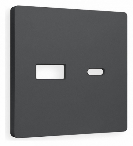 Накладка для розетки type A и C Ambrella Volt ALFA AP9110 в Нижнем Новгороде