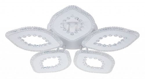 Потолочная люстра Escada Dew 10271/5LED в Нижнем Новгороде фото 3