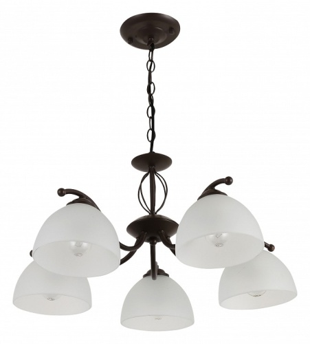 Подвесная люстра Rivoli Jackeline Б0054758 в Нижнем Новгороде фото 6