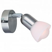 Спот Arte Lamp Falena A3115AP-1SS в Нижнем Новгороде