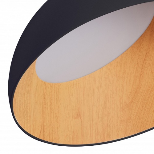 Накладной светильник Zortes Baum ZRS.01243.05 в Нижнем Новгороде фото 3