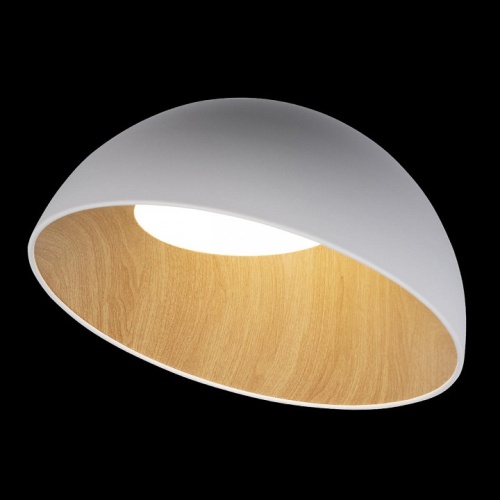 Накладной светильник Loft it Egg 10197/500 White в Ревде фото 3