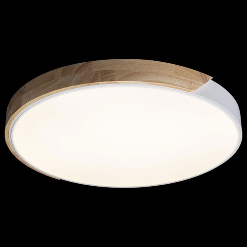 Накладной светильник Loft it Axel 3 10004/36 White в Нижнем Новгороде фото 3