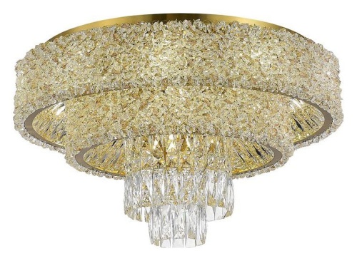 Потолочная люстра ST-Luce Seline SL1637.302.16 в Нижнем Новгороде фото 3