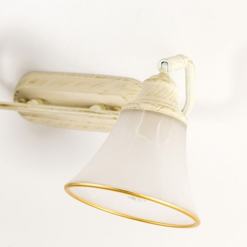 Спот Citilux Прованс CL511524 в Нижнем Новгороде фото 5