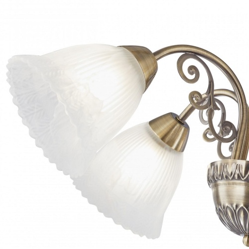 Подвесная люстра Arte Milano Amalfi-8544 338544/5 AB в Нижнем Новгороде фото 4