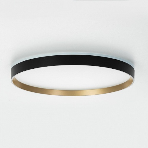 Накладной светильник Citilux ETALON CL750401R в Нижнем Новгороде фото 5