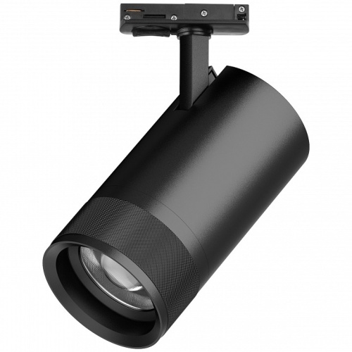 Светильник на штанге Lightstar Canno Pro C4407SS в Нижнем Новгороде фото 3