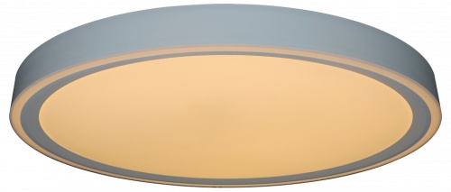 Накладной светильник Zortes Bella ZRS.1200.09 в Нижнем Новгороде фото 6