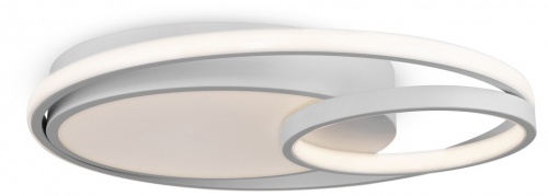 Накладной светильник Freya  FR10028CL-L80W в Нижнем Новгороде