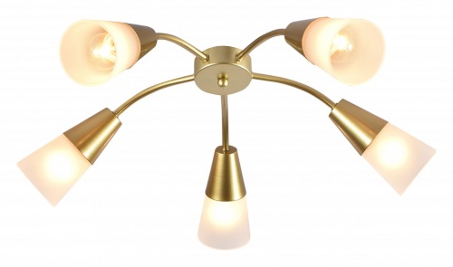 Потолочная люстра Escada Aquilegia 1100/5P Gold в Нижнем Новгороде