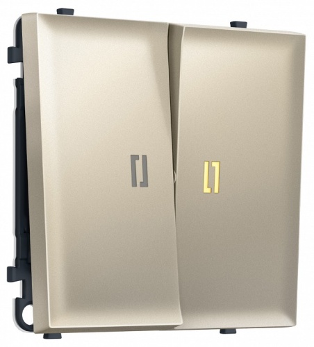Выключатель двухклавишный с подсветкой без рамки Ambrella Volt MS MS544010 в Нижнем Новгороде