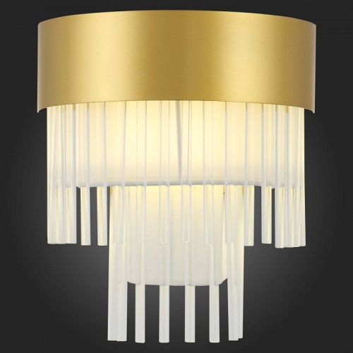 Накладной светильник ST-Luce Aversa SL1352.201.01 в Нижнем Новгороде фото 2