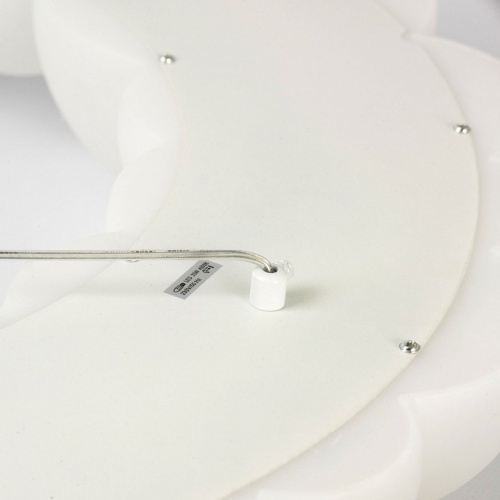 Подвесной светильник Lussole Claudia LSP-7078 в Нижнем Новгороде фото 4