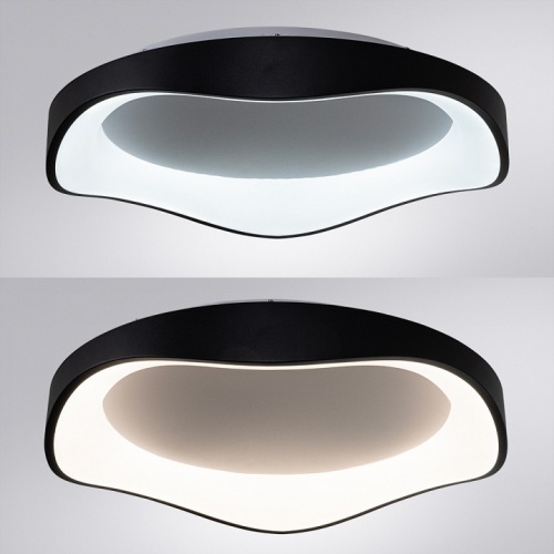 Накладной светильник Arte Lamp ANKAA A3085PL-56BK в Нижнем Новгороде фото 3