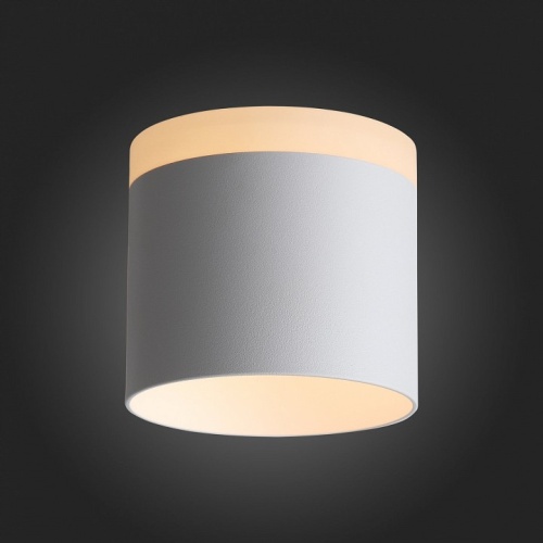 Накладной светильник ST-Luce Panaggio ST102.502.12 в Нижнем Новгороде фото 5