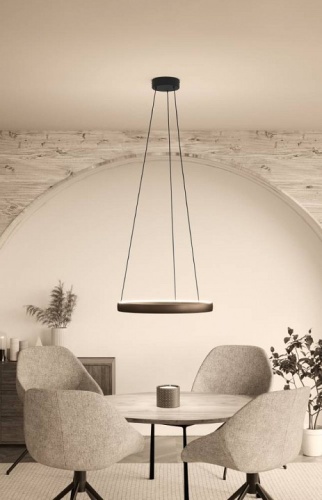 Подвесной светильник Eglo TRABUCO 390451 в Нижнем Новгороде фото 2