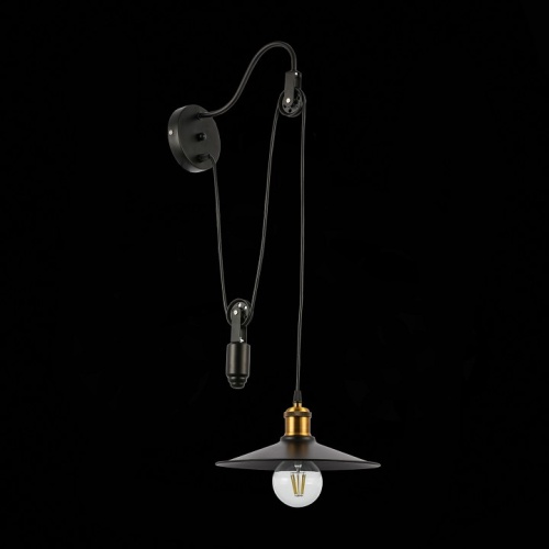 Подвесной светильник EVOLUCE Esperazza SLE120501-01 в Кропоткине фото 8