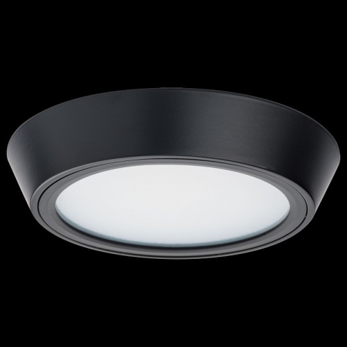 Накладной светильник Lightstar Urbano 214974 в Нижнем Новгороде фото 3