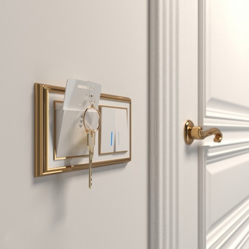 Электронный карточный выключатель без рамки Werkel Белый W1153101 в Нижнем Новгороде фото 6