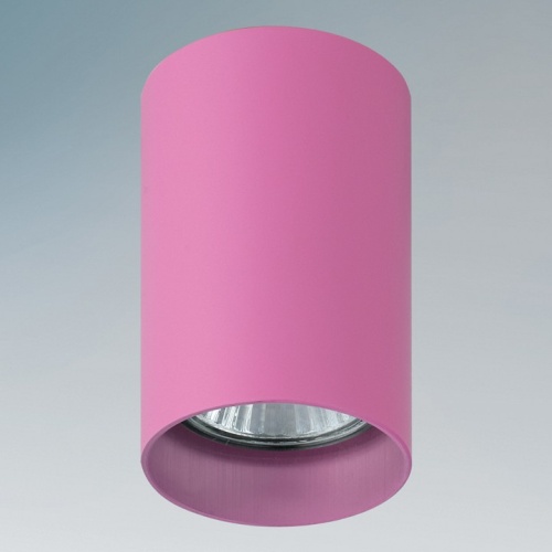 Накладной светильник Lightstar Rullo 214432 в Нижнем Новгороде фото 2