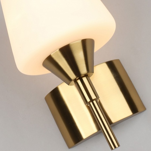 Бра Aployt Lyus APL.840.01.01 в Нижнем Новгороде фото 6