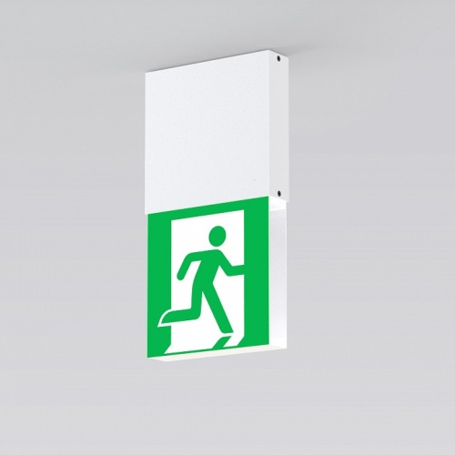 Светильник-указатель Arlight EMG-MARK 059804 в Нижнем Новгороде фото 2