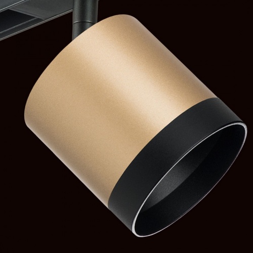 Светильник на штанге Lightstar Rullo PRO34903487 в Нижнем Новгороде фото 2