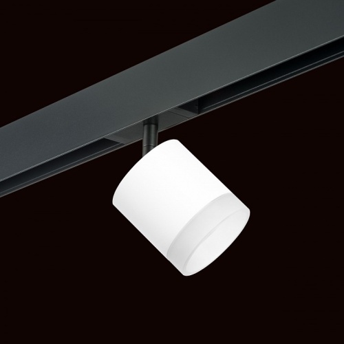 Светильник на штанге Lightstar Rullo PRO348680 в Нижнем Новгороде фото 4