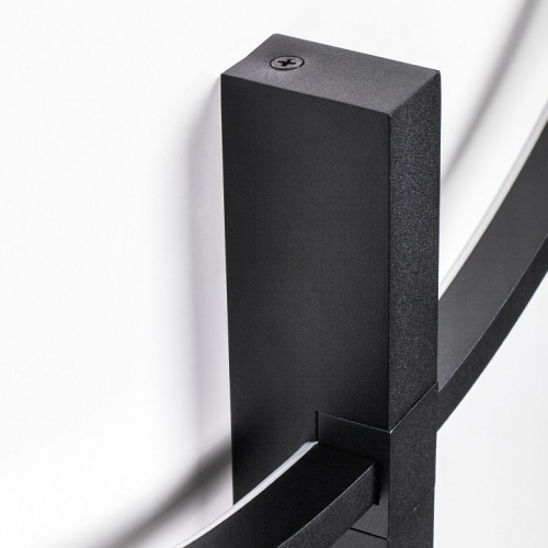 Накладной светильник Lightstar Undine 738567 в Нижнем Новгороде фото 2